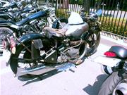 �C�M���X�̖��ԃA���G��