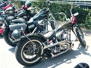 �V���x�����W�b�h�`���b�p�[