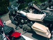 �A�C�A���X�|�ł��B�����x���Ȃ荂�����ł�