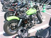 �V���x���`���b�p�[�E���C���O���[�������V�ɉf���܂�