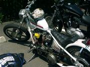 �J���[�����O�����ꂢ�ȃ��W�b�h�V���x���`���b�p�[