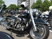 �X�g���b�v�̃V���x��FLH