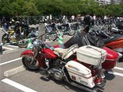 �T�C�h�J�[���̂e�k�g