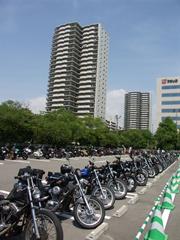 ���ԏ�ɐ��R�ƕ��ׂ��Ă��܂�