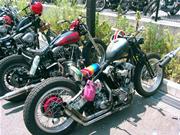 �i�b�N���̃`���b�p�[