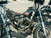 �V���x���W