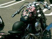 ���ꂢ�ȓh���̃^���N�ł��ˁB�a���ō��̃^���N�ɉԂт�̃s���N���f���܂�