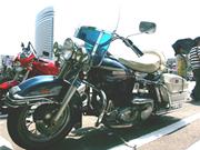 �V���x��FLHMTG�}�u�ɗ��Ē�����FLH�Ǝv���̂ł����E�E�E