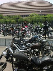 �X�^�b�t�p�ł��傤���H