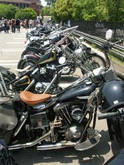 �V���x��FLH�B�������V�[�g�����ꂢ�ł�