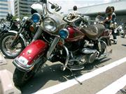 �V���x��FLH�B�����G�A�N���������ł��˂��B���F�̃V�[�g���ӊO�ɂ����܂���