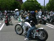 �V���x��4���t���[���B�������ꂢ�ł��˂�