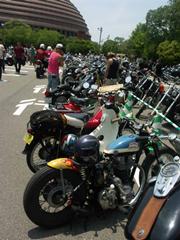 �J�u�Ȃ񂩂����Ă܂���