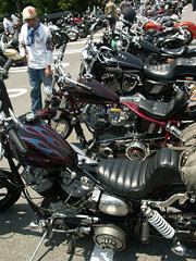 ���F�h���X�X��̂��F�l�̃V���x��