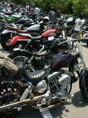 ���F�h���X�X��̂��F�l�̃V���x��