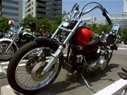 FXWG�B�����������ł��˂�