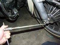 �A�N�X���V���t�g��}�����܂�